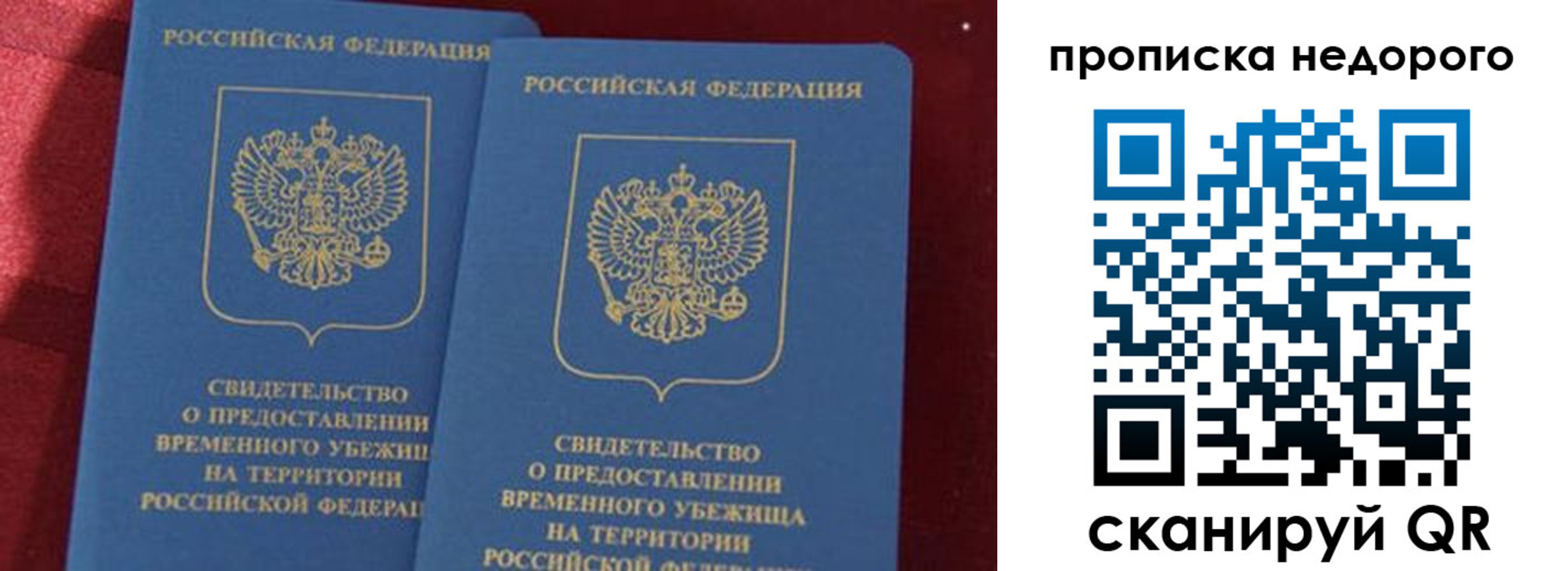 прописка гарантия в Пионерском